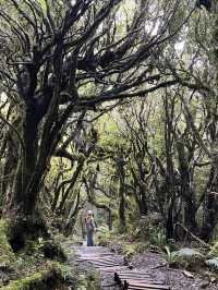 私享路線3-新西蘭北島人不多