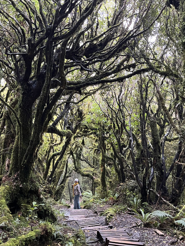 私享路線3-新西蘭北島人不多