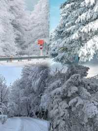西安秦嶺12月封神|闖入冰雪秘境,美到不想下山