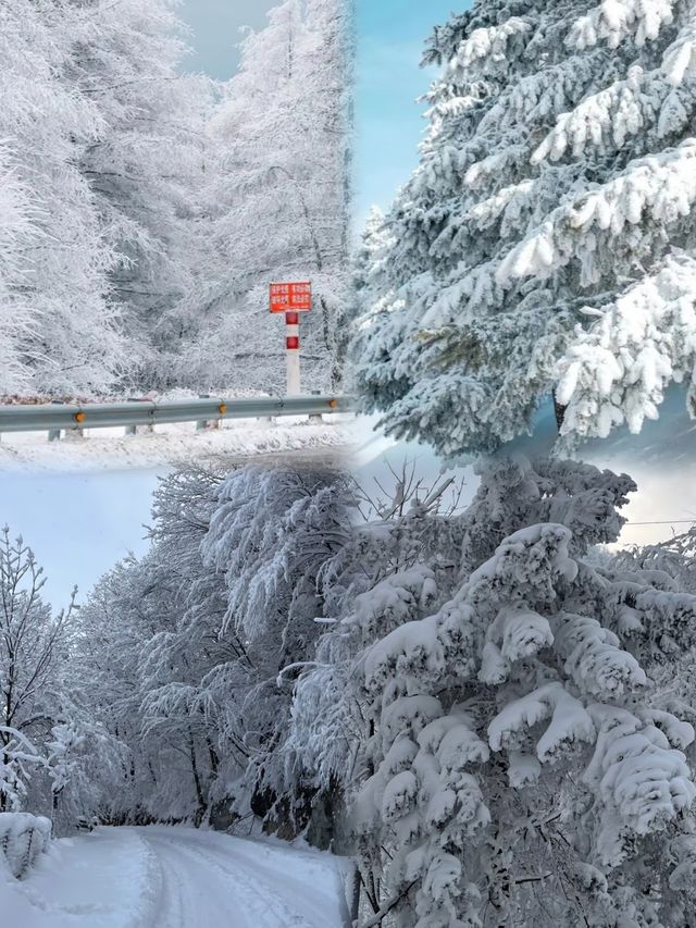 西安秦嶺12月封神|闖入冰雪秘境,美到不想下山 西安秦嶺12月封神|闖入冰雪秘境,美到不想下山