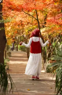 12·1南京棲霞山紅楓進入觀賞期～附路線～