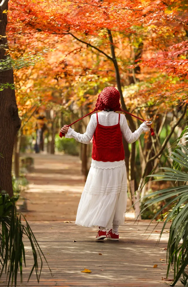 12·1南京棲霞山紅楓進入觀賞期～附路線～