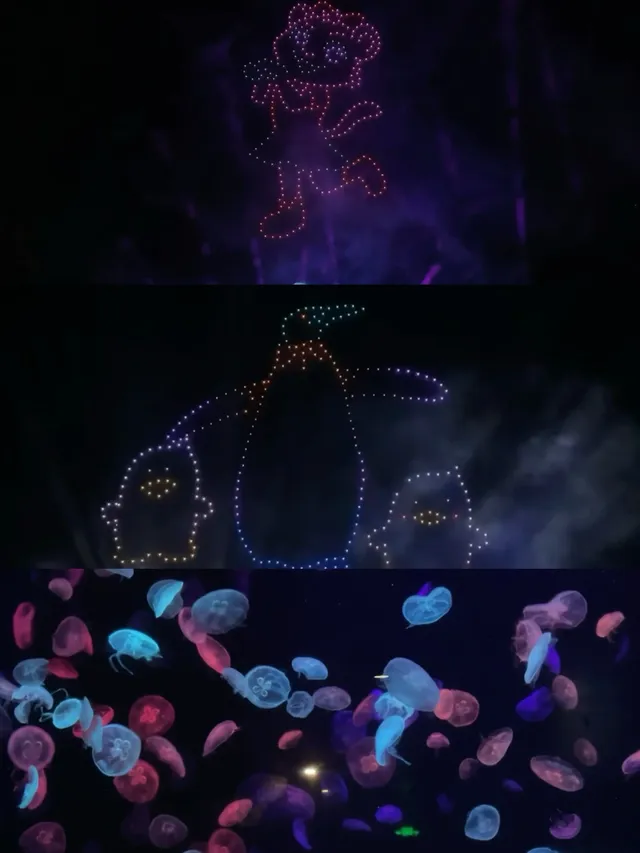 2歲寶寶,珠海長隆2天1晚遊玩攻略 2歲寶寶,珠海長隆2天1晚遊玩攻略