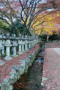 大阪勝尾寺夜間點燈絕美!跟白天完全不同