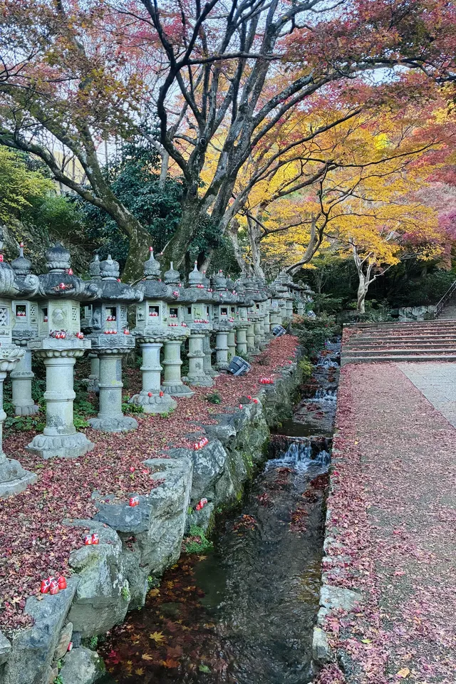 大阪勝尾寺夜間點燈絕美!跟白天完全不同 大阪勝尾寺夜間點燈絕美!跟白天完全不同