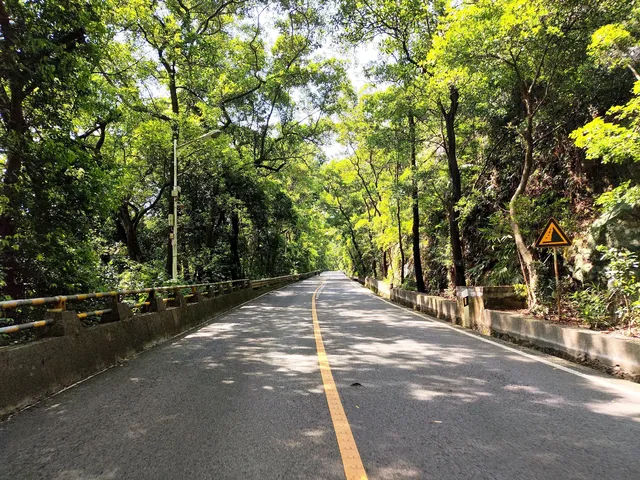 佛山祈福天花板!西樵山南海觀音太治癒了 佛山祈福天花板!西樵山南海觀音太治癒了