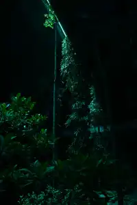 日落前入園！溫室花園日夜場一次看完