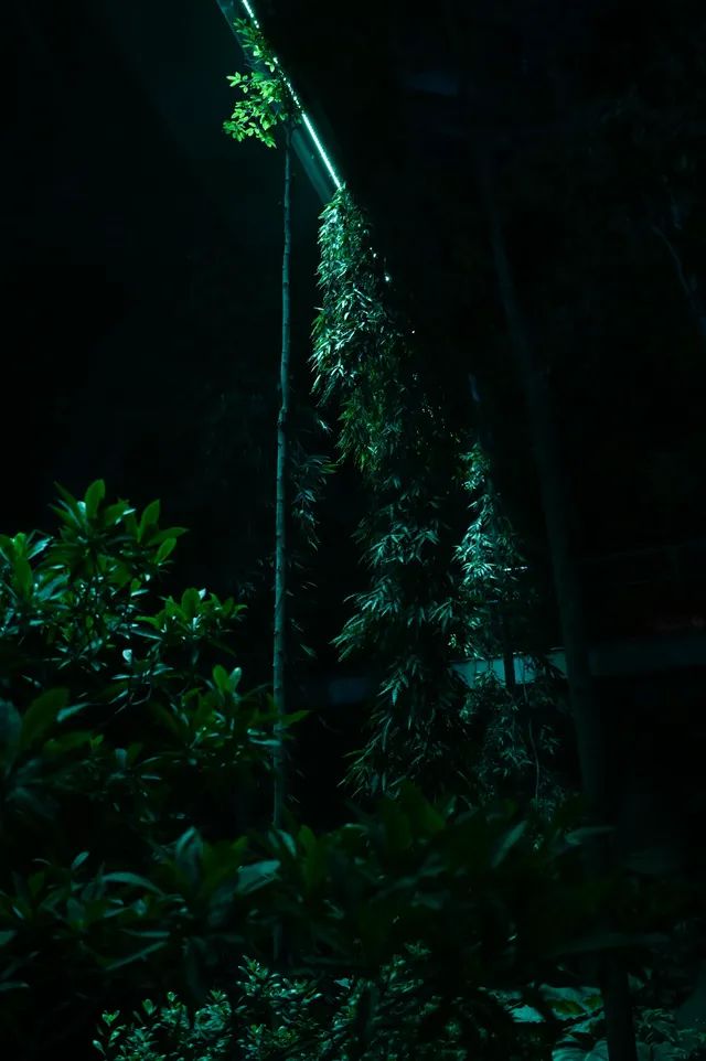 日落前入園！溫室花園日夜場一次看完