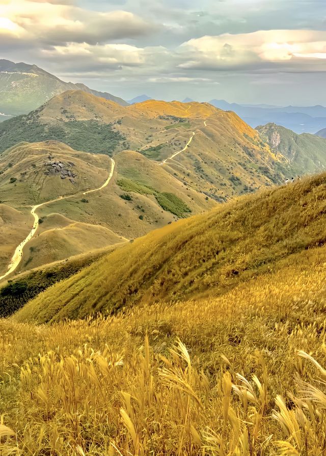 人生建議:11月一定要去看大南山的秋天! 人生建議:11月一定要去看大南山的秋天!