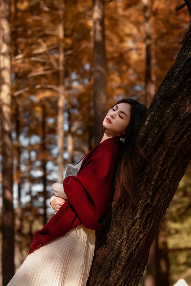 長興桃花岬的紅杉很美啊～～