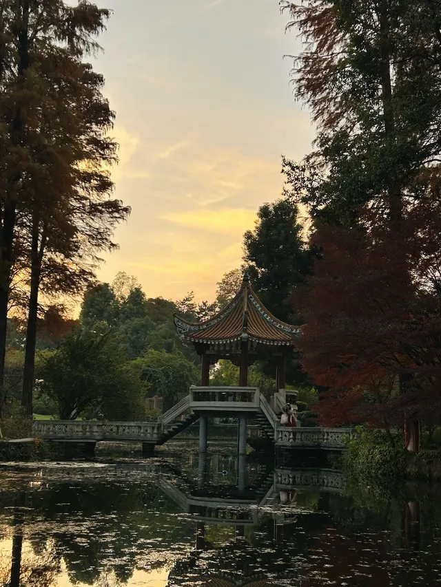 湖北新生旅遊年卡武漢植物園全攻略