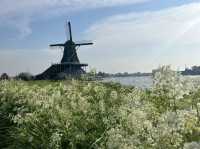 荷蘭羊角村一日遊全攻略坐船賞童話小鎮 品嚐美味三文魚