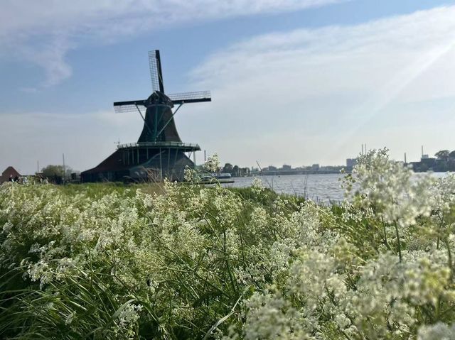 荷蘭羊角村一日遊全攻略坐船賞童話小鎮 品嚐美味三文魚 荷蘭羊角村一日遊全攻略坐船賞童話小鎮 品嚐美味三文魚