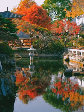 99% of people in Shanghai don't know | The "Little Kyoto" hidden in the city center