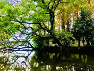 ช่วงเวลาของความสงบในหางโจว