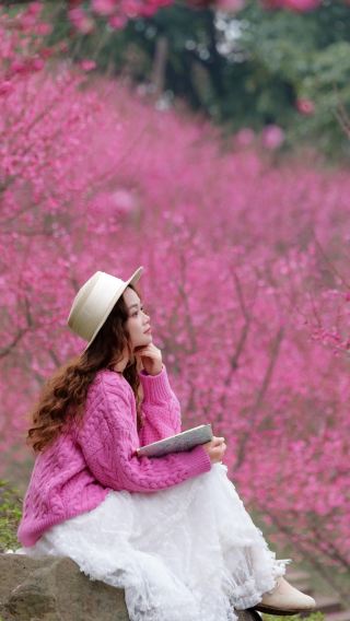 Changsha's Most Beautiful Plum Blossom Photography Spot