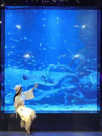 งานเปิดตัวเทศกาลปีใหม่สุดยิ่งใหญ่ที่ชิงเต่า: หลีกหนีความกังวลจากบรรยากาศหรูหราด้วยการคลิกเพียงครั้งเดียว