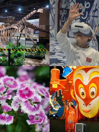 คุณแม่ชาวฉงชิ่งถึงกับหัวเสีย! พบฟอสซิลไดโนเสาร์ของจริงที่สวนจัดแสดงนิทรรศการ!