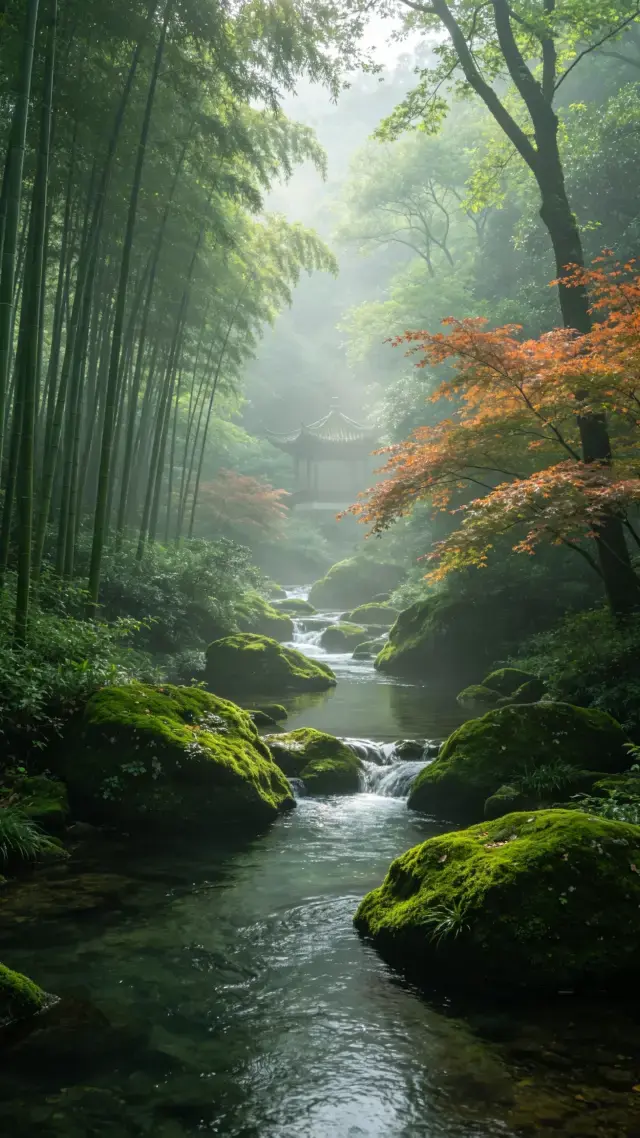 Don't crowd West Lake! All the hidden ways to play in Hangzhou are here