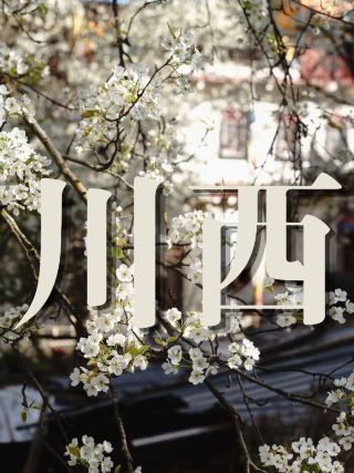 쓰촨 서부에서 최고의 봄을 만끽하고 싶으신가요? 진촨 배꽃은 봄철 모험을 위한 완벽한 목적지입니다!