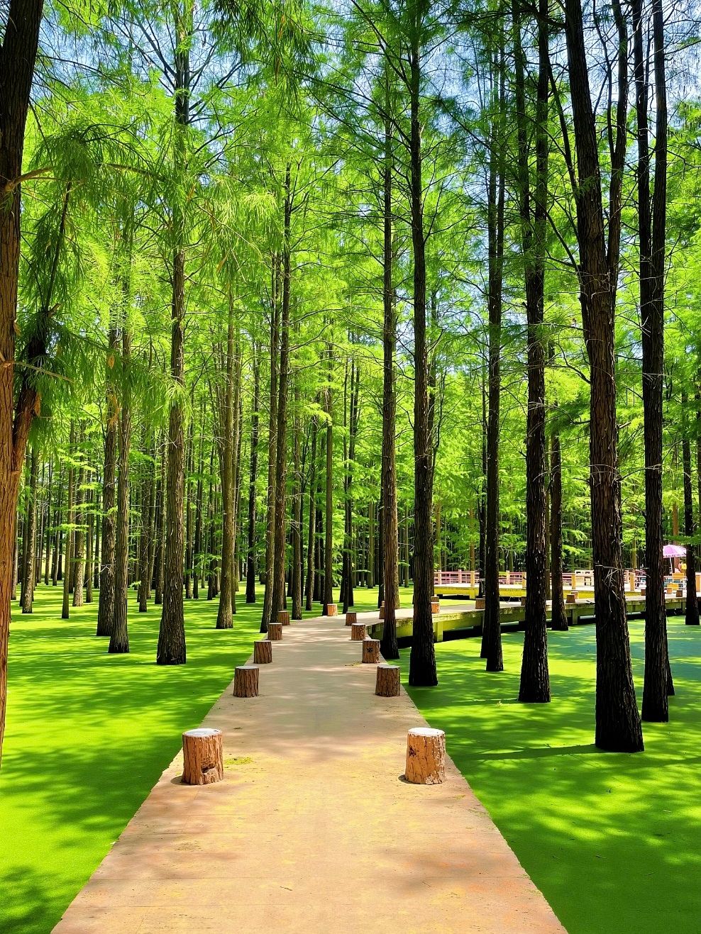First-time visitor to Xincai: Complete accommodation guide | Station area / Moon Bay / Government Affairs District overview | Recommended quality hotels in prime locations