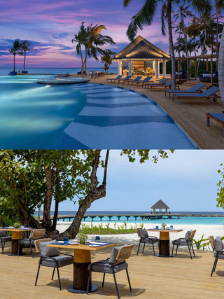 Maldives Anvani snorkeling legend! Swim with whale sharks + dolphin cruise