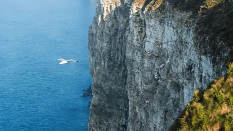 คู่มือท่องเที่ยวสหราชอาณาจักร 6 วัน - บันทึกไว้เลย! — traveler post in เชฟฟิลด์