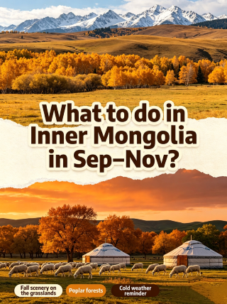 How to enjoy Inner Mongolia from September to November | Complete autumn travel guide