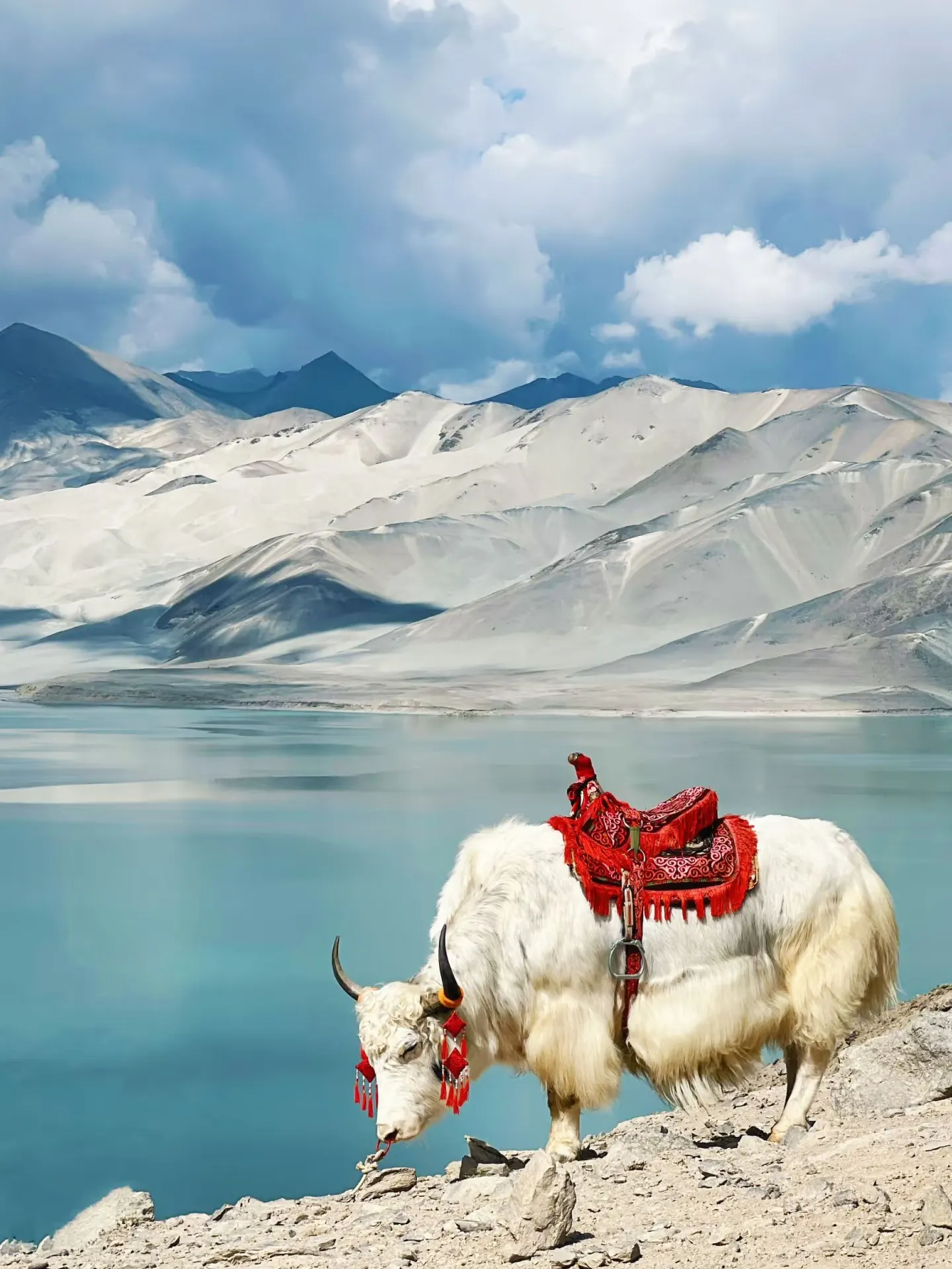 Looking for a place to go for the long weekend? Kizilsu is definitely a hidden gem destination in Kashgar.