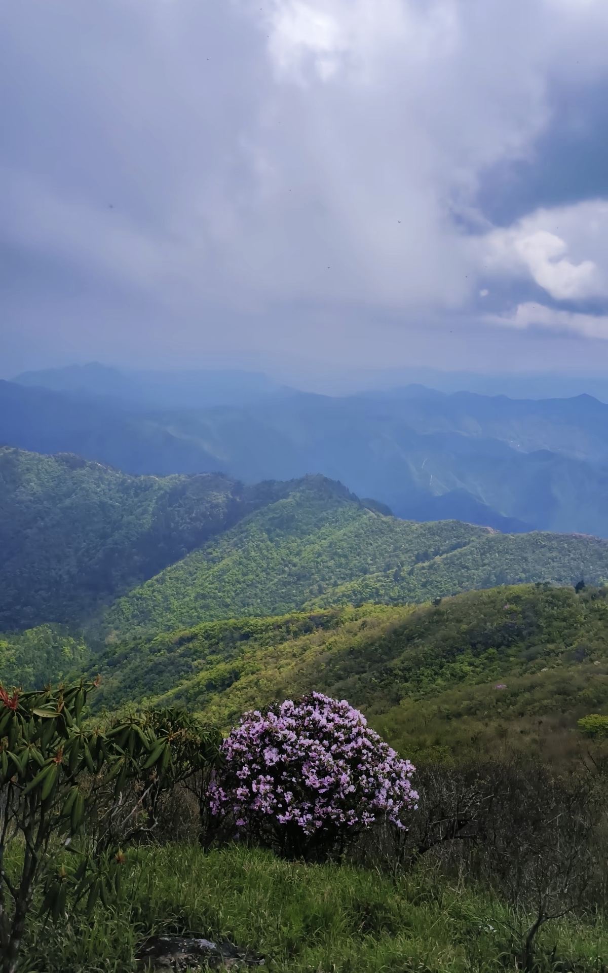 Pendakian di Jinhua Selama Festival Pertengahan Musim Gugur dan Hari Nasional | Rute Balon Berbentuk Hati di Gunung Niutou! Puncak tertinggi di Zhejiang tengah, surga terpencil dengan sedikit keramaian. Keuntungan perjalanan tiga hari di Jinhua, Zhejiang selama liburan Festival Pertengahan Musim Gugur dan Hari Nasional.