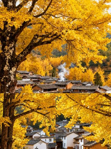 Tôi đã đến Tengchong năm lần | Những nơi này mới thực sự là kho báu.