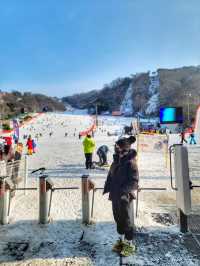 겨울 여행 최고봉, 홍천 비발디파크❄️⛷️🏂