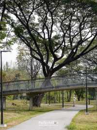 พามาเดินเล่นที่สวนเบญจกิติ สวนป่าใจกลางกรุง🌳🌱