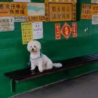 沿海岸線設計之風之塔公園