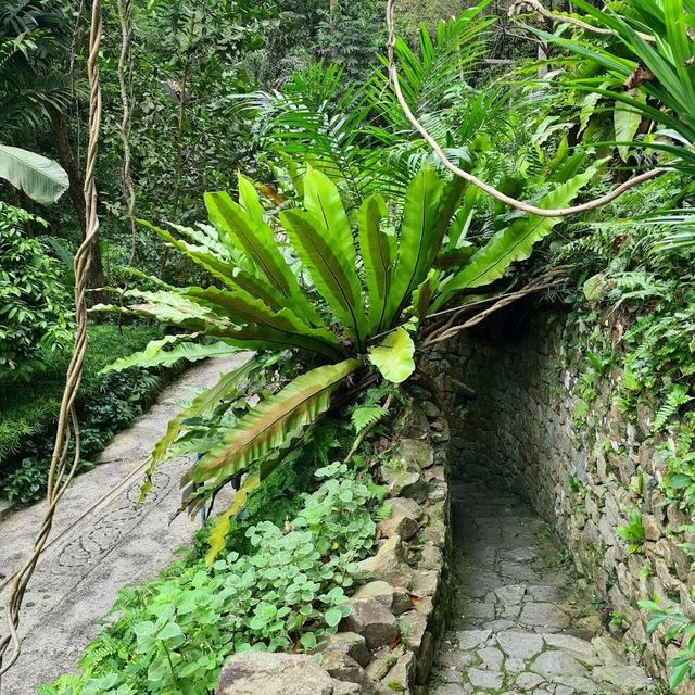 Tropical Spice Garden