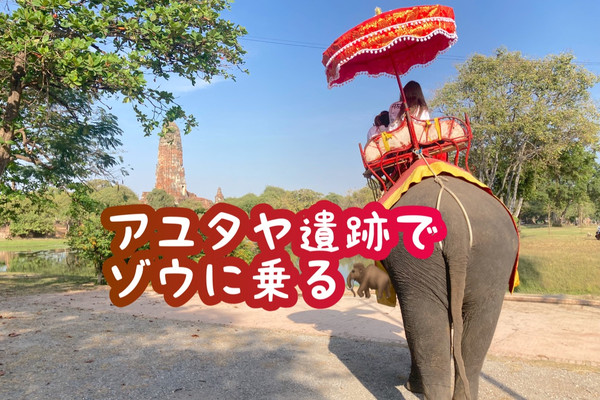 タイ】アユタヤ遺跡で象乗り体験🐘 | Trip.com プラナコーンシーアユタヤ