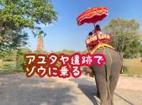 【タイ】アユタヤ遺跡で象乗り体験🐘