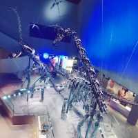 Get prehistoric at Lee Kong Chian Natural History Museum