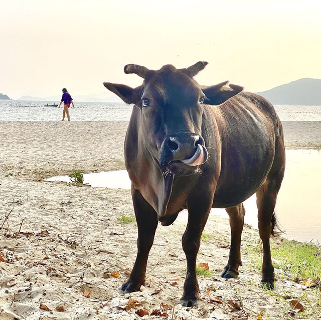 Hong Kong must go beach!