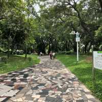南頭故城的後花園-中山公園