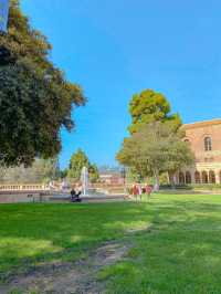 UCLA 마스코트 곰동상🐻그리고 스토어 투어까지🛍️