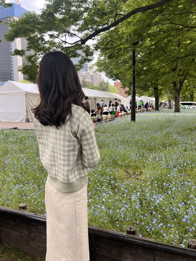 東京【日比谷公園】東京の公園でネモフィラが見れる場所💙
