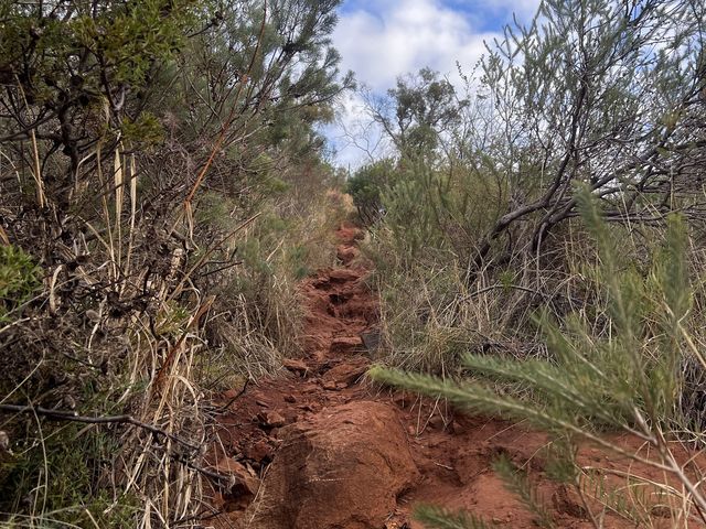 Skycrapers from afar!😎#minihikingLesmurdie🤓
