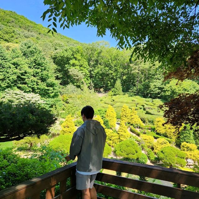 수국이 만개하는 서울근교 봄꽃명소 율봄식물원 