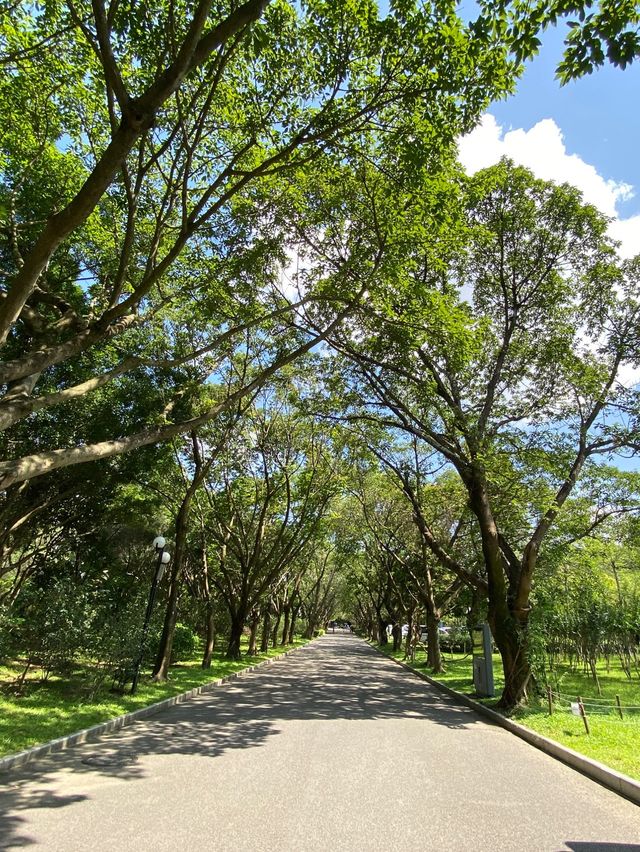 深圳蓮花山公園