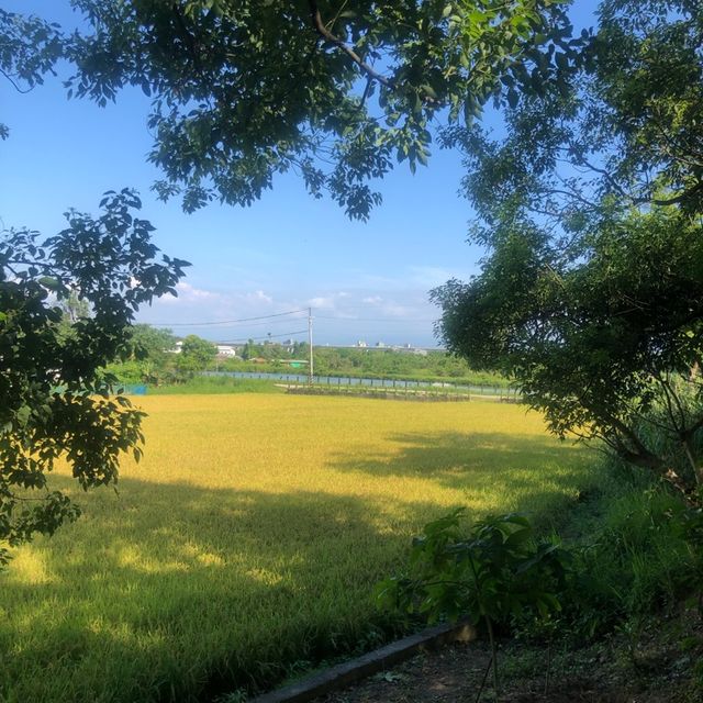 石門大圳過嶺支渠休憩步道（平鎮區）
