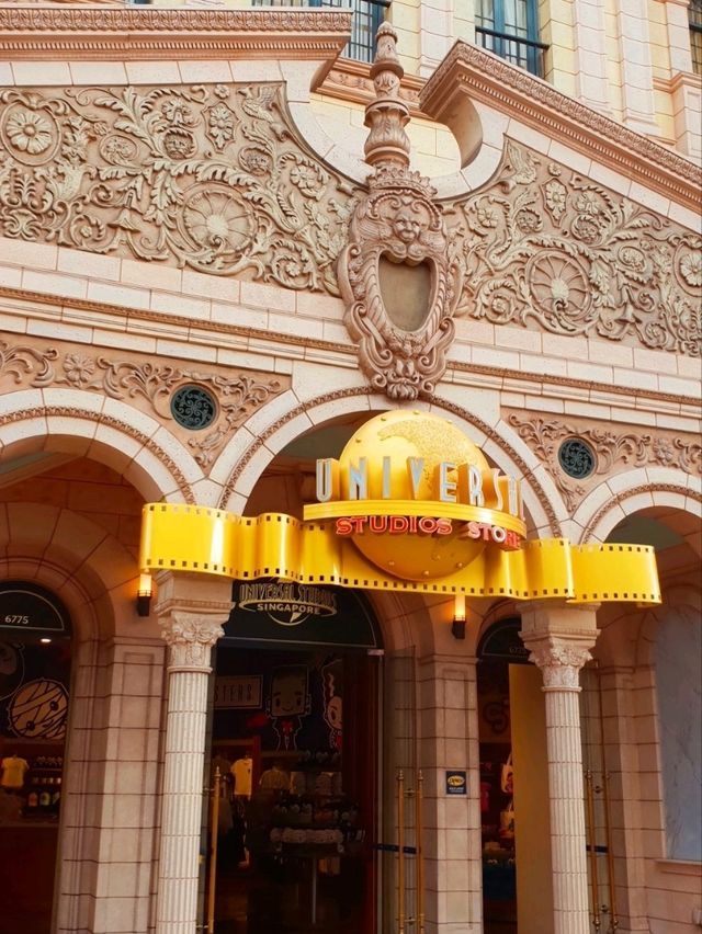 Magical Experience At Universal Studios!