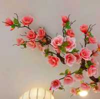 AUNG KU Craft & cafe คาเฟ่สวย ย่านเมืองเก่าภูเก็ต