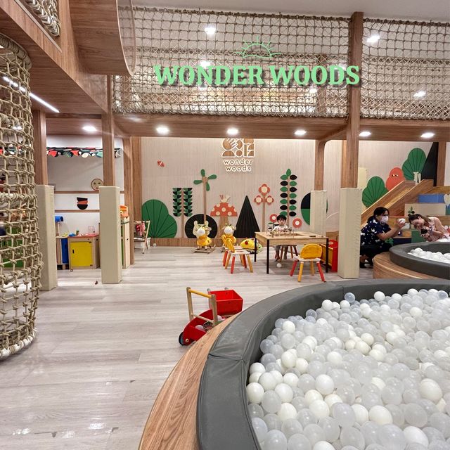 คาเฟ่้ด็กที่แท้ทรู wonder woods