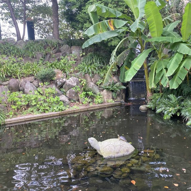 長崎哥拉巴園：穿越時光的異國風情